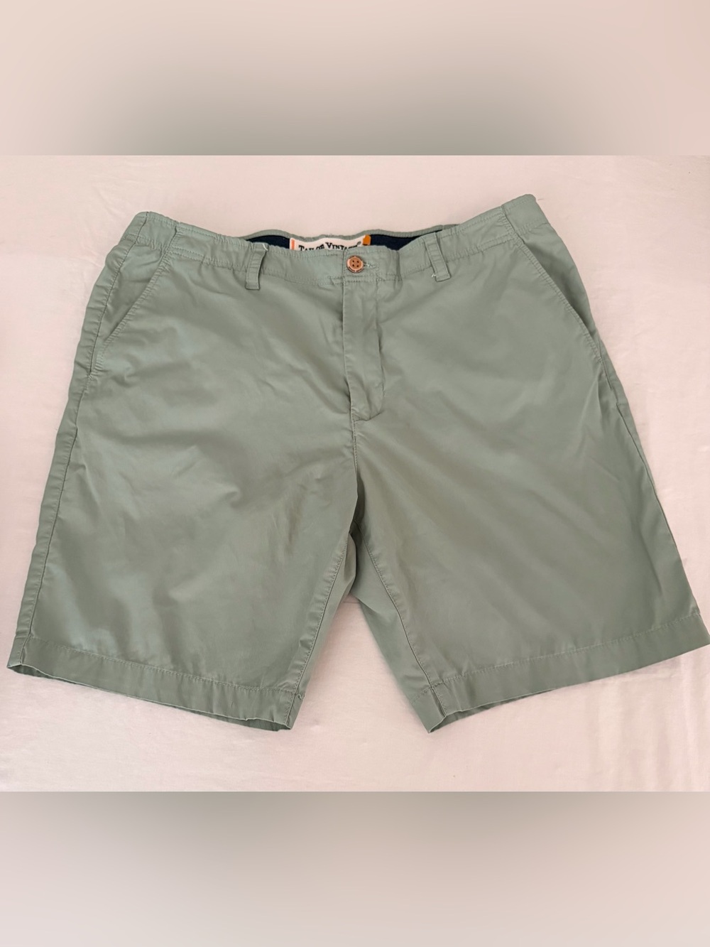 Tailor Vintage Sage Green Flat Front Men's Shorts